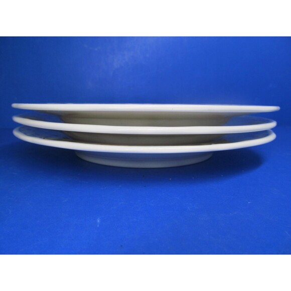 Noritake Homecraft 9233 Sonoma Trellis Set Of 3 Floral 8 1/2" Salad Plates GUC - Picture 6 of 8